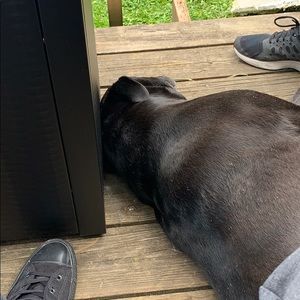 Meet your Posher, Jaden